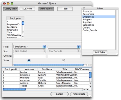 Microsoft Query
interface