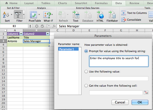 Parameter query screen shot