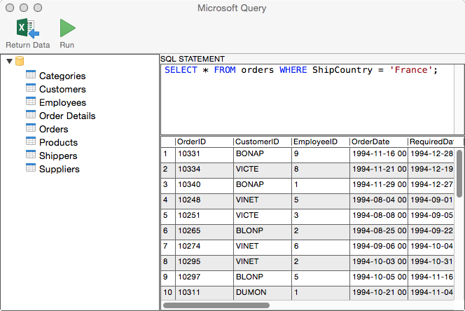 Query View of Microsoft Query